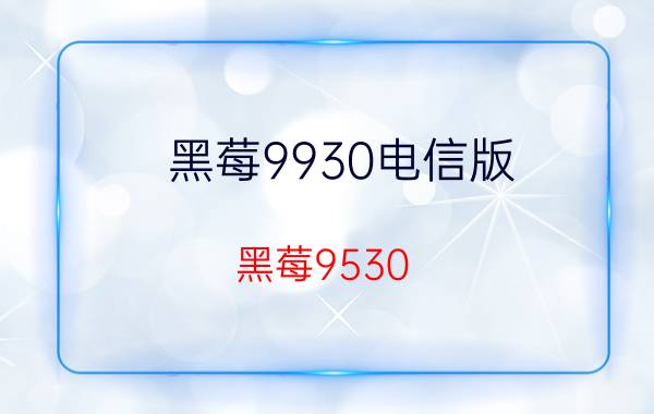 黑莓9930电信版（黑莓9530 电信版）